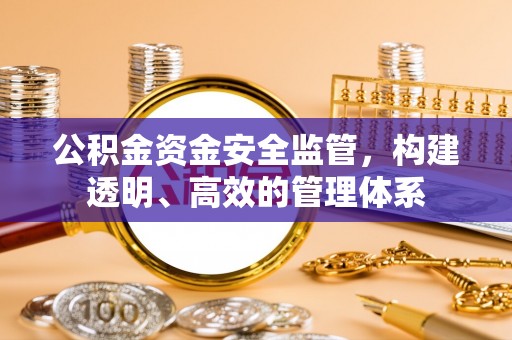 莞城公积金资金安全监管，构建透明、高效的管理体系