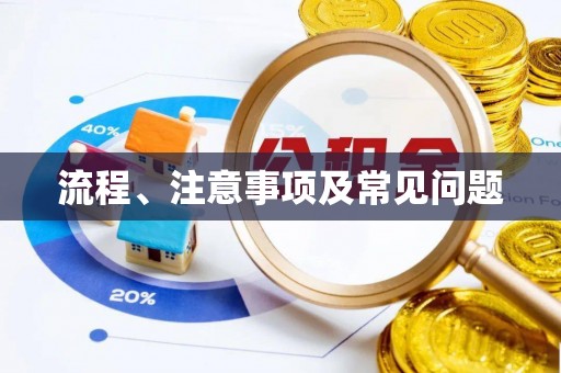莞城流程、注意事项及常见问题