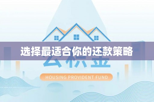 莞城选择最适合你的还款策略