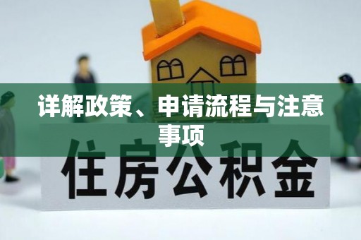 莞城详解政策、申请流程与注意事项