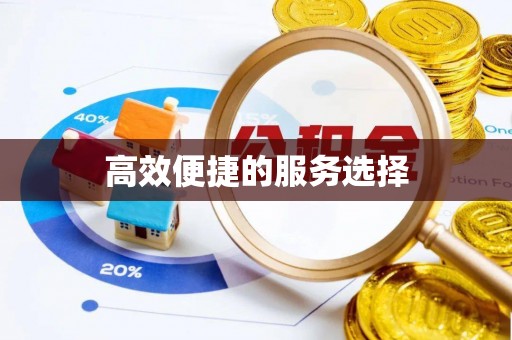 莞城高效便捷的服务选择